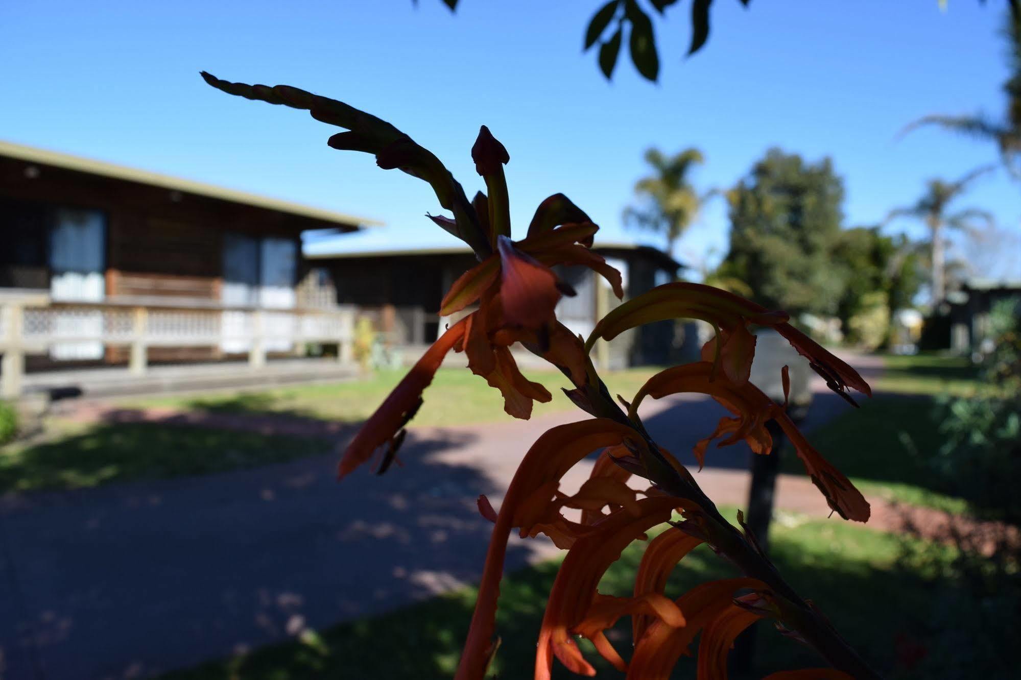 Lazy Acre Log Cabins Lakes Entrance Exterior photo